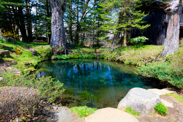 忍野八海：底抜池の画像1